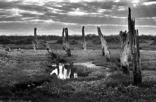 North Norfolk Coast