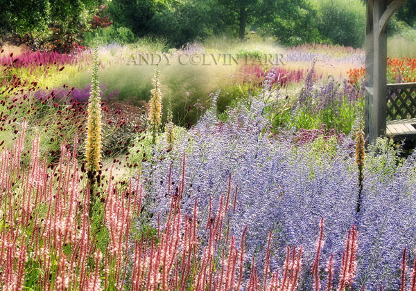 Summer Garden