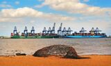 Container Ships