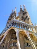 Barcelona Cathedral