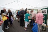 Lacey Street, exhibition