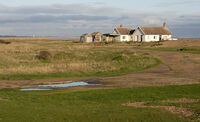 Shingle St