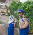 Lijiang,