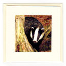 Badger