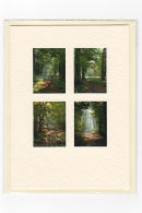 Bedfordshire Woods