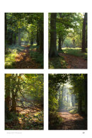 Bedfordshire Woodlands