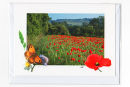 Beds Poppy Field