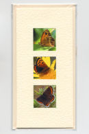 Butterfly Collection