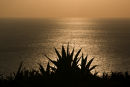 Gozitan Sunset