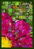 Cosmos Mosaic