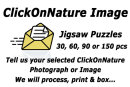 A Jigsaw Puzzle - ClickOnNature Image