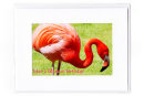 Flamingo Birthday