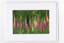 Foxglove Spires