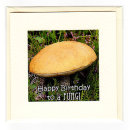 Fungi Birthday