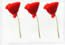 Poppies