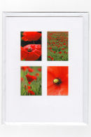 Poppy Medley