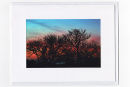 Red Sky at Night