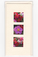 Rock Rose Medley