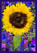 Sunflower Mosaic