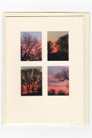 Sunset Silhouettes