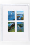 Yar Estuary