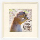 Prairie Dog Birthday