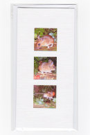 Field Mouse