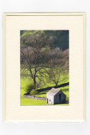 Dovedale View