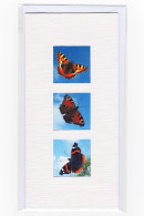 Butterfly Medley