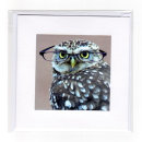 Wise Little Owl