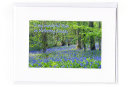 Mothering Sunday... Bluebell