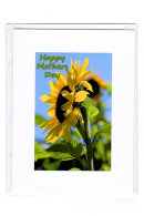 Mothers Day... Sunflower