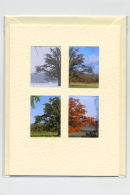 Seasoned Oak