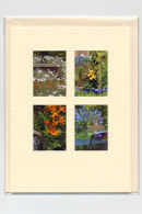 Garden Medley
