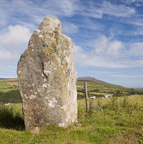 Y Garreg Hir , Standing Stone (Mehir)
