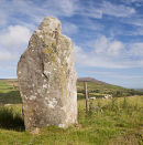 Y Garreg Hir , Standing Stone (Mehir)