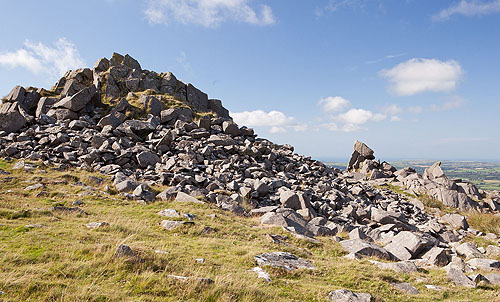 Carn Bica