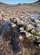 Submerged Prehistoric Forest - 4