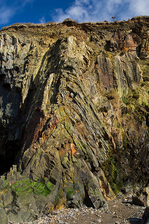 Anticline