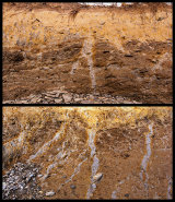 Ice Wedges / Marros Sands