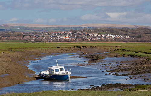 Tidal Creek