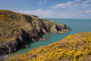 Trwyn Aber-Pwll