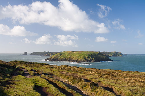 Skomer Island