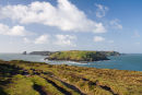Skomer Island