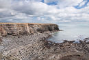 Low Tide