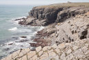 Linney Head