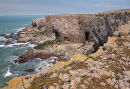 Linney Head