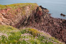 Castle Head