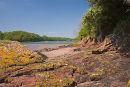 Sandy Haven