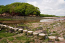 Stepping Stones